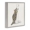Stupell Industries Raccoon Toilet Paper Hoarder Framed Giclee Art